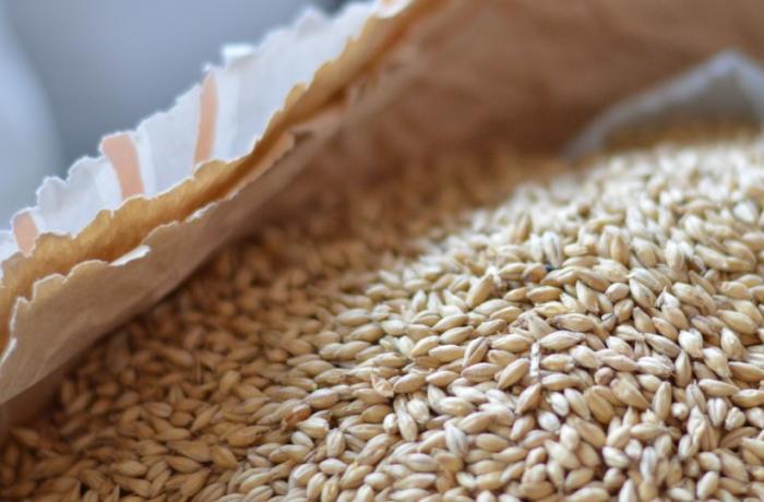 comment faire du malt d'orge grain-sec-malt-cereales920x540.jpg