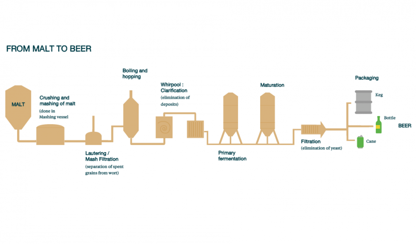 Le processus de brassage de la bière - Micet Craft