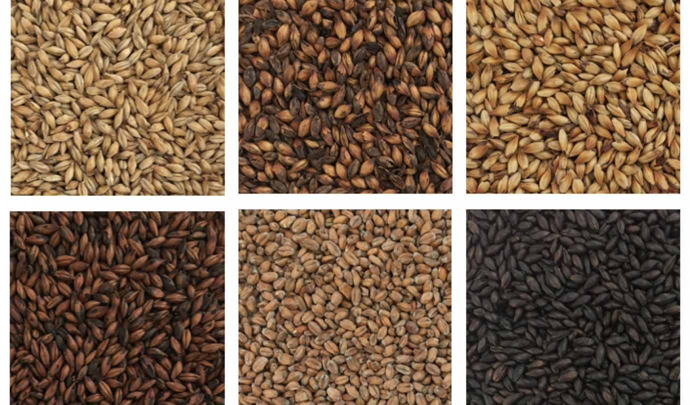 Malt types