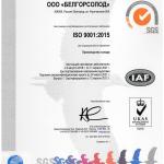 ISO 9001